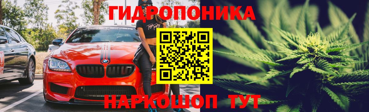 Марихуана OG Kush Мариинск